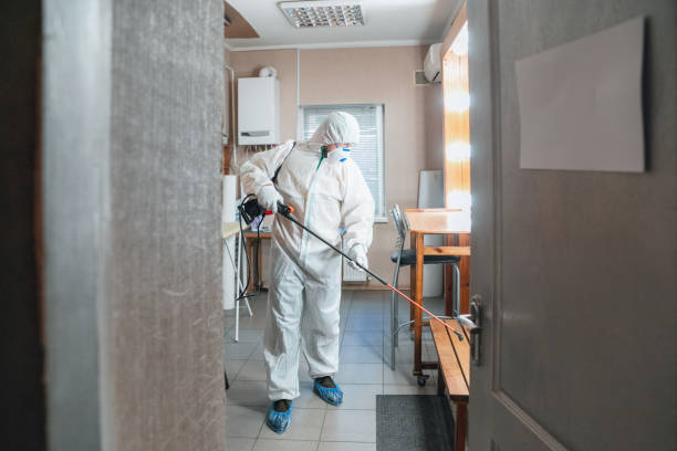 Forensic Mold Investigation in Bullhead City, AZ